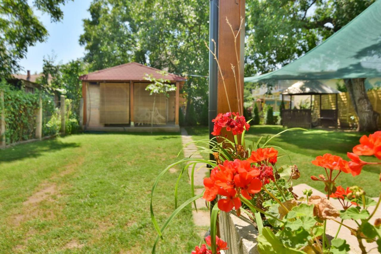 Villa Viktoria Nyiregyhaza Bagian luar foto